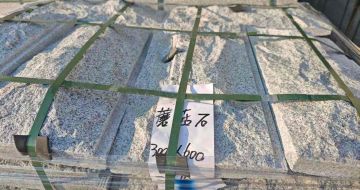 潍坊芝麻白蘑菇石，自然面